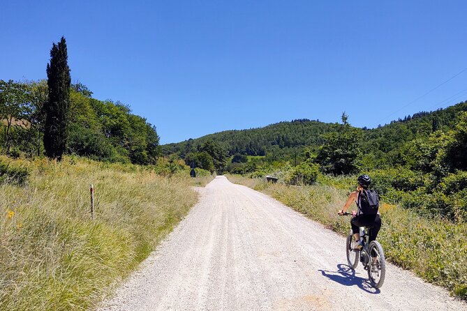 By Ebike: Visit an Art Park and Wine Taste in the Classic Chianti - Practical Details and Value