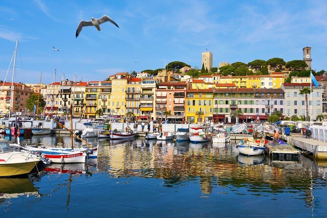 Cannes Private Tour: Film Festival, Secrets & Stunning views - The Sum Up