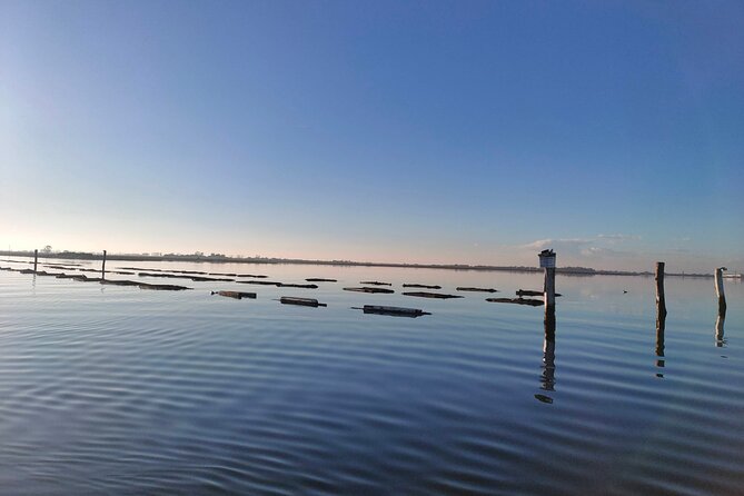 Chioggia : Aquaculture Secrets Tours of the Lagoon - The Sum Up