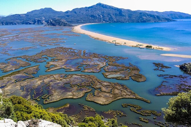 Dalyan Day Trip with Mud Bath and Turtle Beach From Fethiye - Turtle Beach: Iztuzu Beach