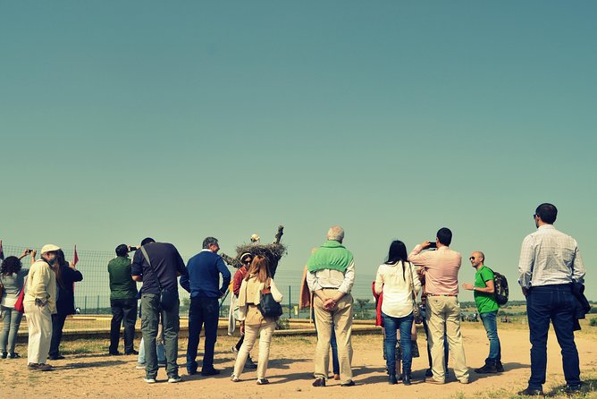 Doñana Natural Park Full-Day Tour from Seville - FAQ