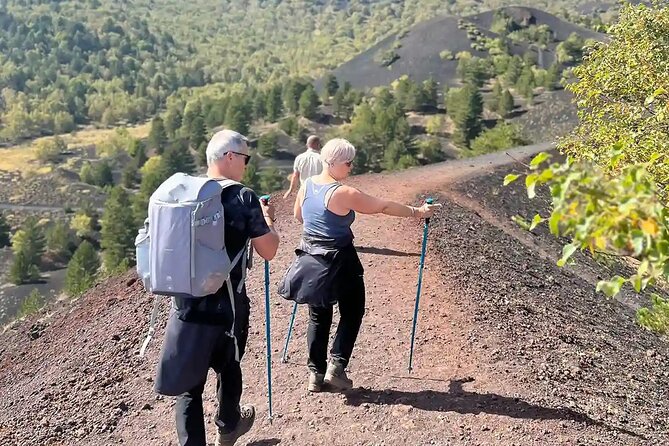 Etna and Wine: Adventure and Tasting between Craters and Cellars - Who Will Love This Tour?