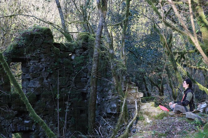 Forest Bathing in Tuscany with Wild Crafted Tea - The Sum Up
