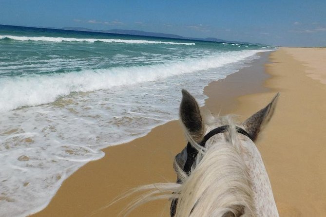 Horse Riding on the Beach Tour - The Sum Up