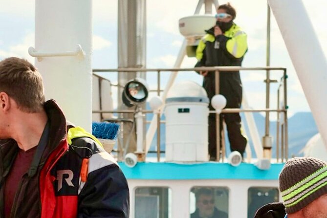 Húsavík Whale Watching Tour, family owned and operated - Booking and Practical Tips