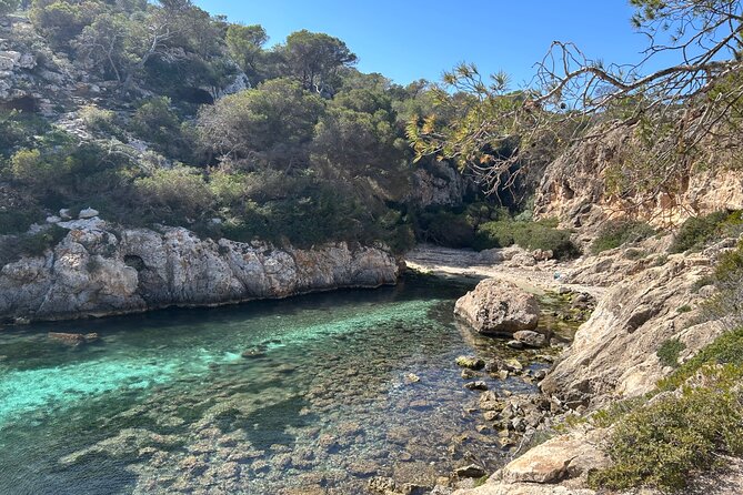 Mallorca Secret Coves Land Rover Private Tour - Final Thoughts