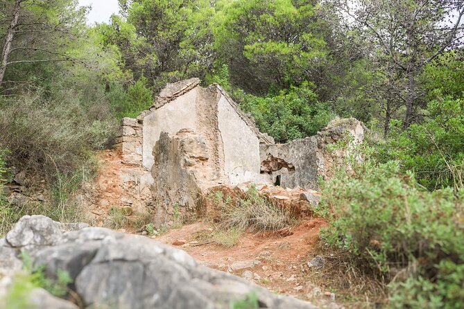 Marbella Guided Hiking and Foraging Adventure - FAQ