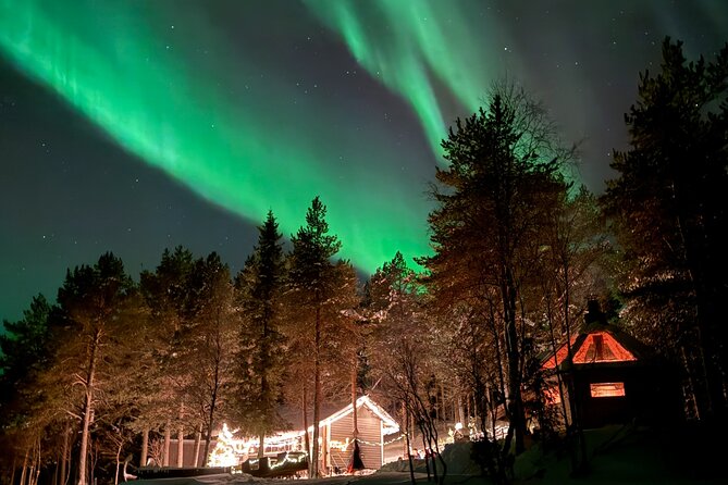 Northern Lights Adventure in the Wild with Campfire Treats - Who Should Book This Tour?