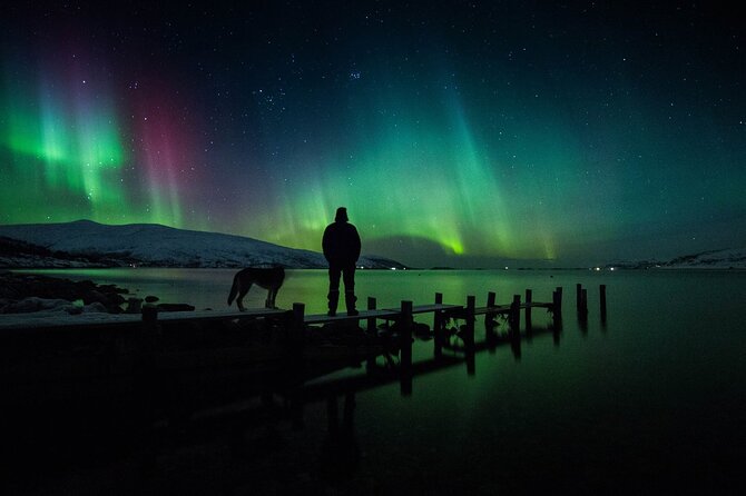 Northern Lights Big Bus Chase with Free Photos - Authentic Experiences from Travelers