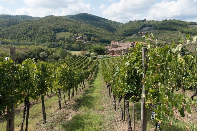 Private Day Trip to Chianti from Florence - FAQ