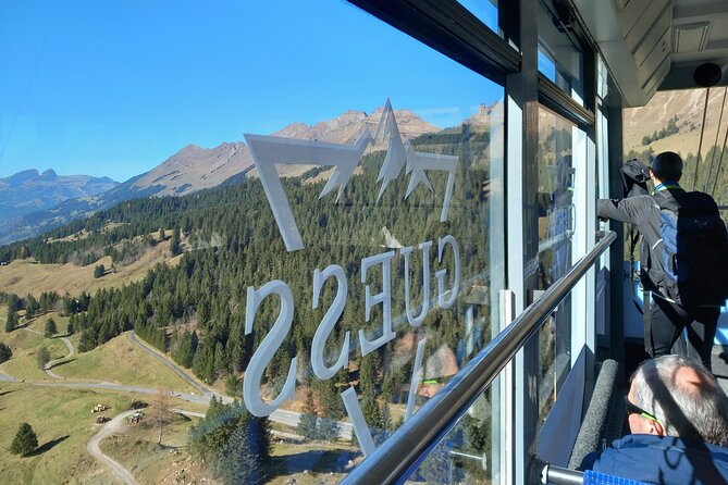 Private Excursion to Glacier 3000 - Who Should Consider This Tour?