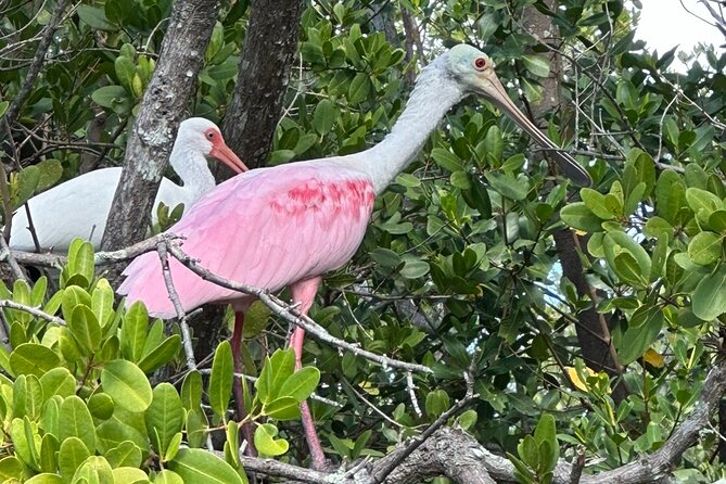 Robinson Preserve Nature Walk Eco Tour - Cancellation Policy & Flexibility