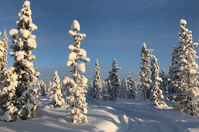 Snowmobile Arctic Adventure - Frequently Asked Questions