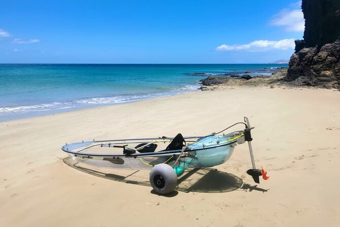 Transparent Electric Kayaks with Guide - FAQ