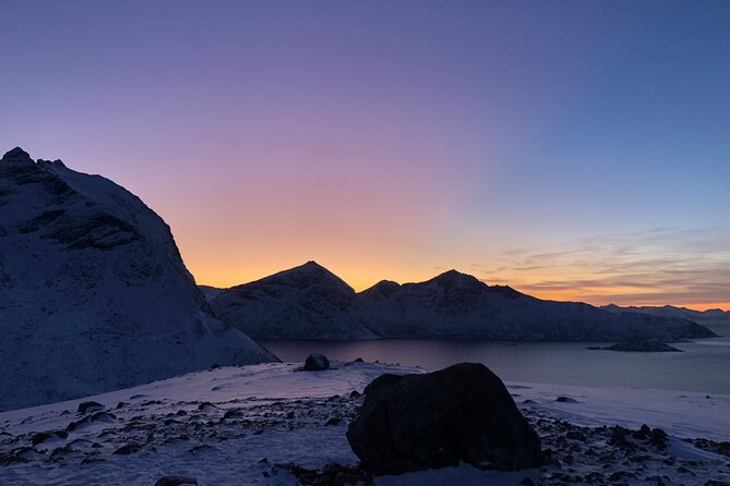 Tromsø: Fjords Tour with campfire and photos - Who Should Consider This Tour?