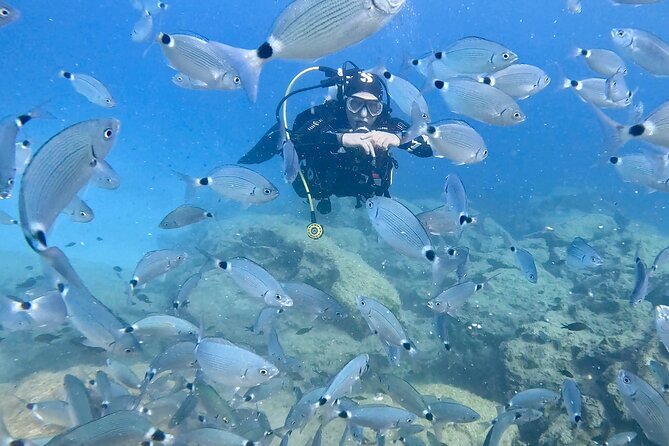 Try Dive - Scuba Diving with a private guide, incl. photos - FAQ