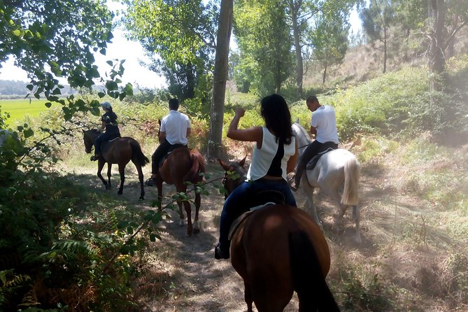 Horse Riding on the Beach Tour - FAQs