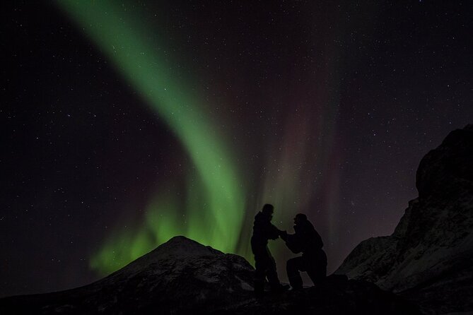 Northern Lights Big Bus Chase with Free Photos - Who Would Love This Tour?