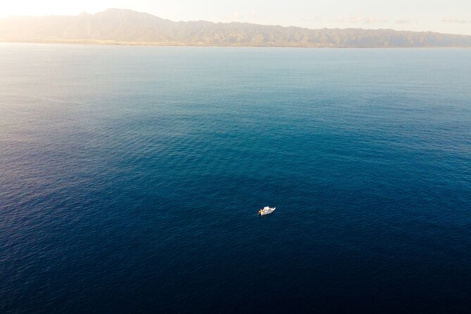 Private Whale Watching Tour of Oahu - FAQ