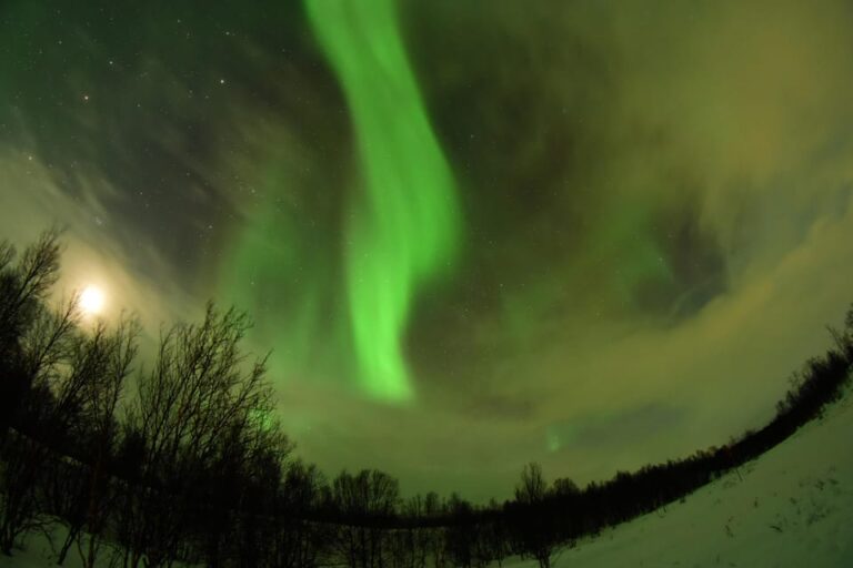 Abisko: Aurora Chasing with Snowmobiles