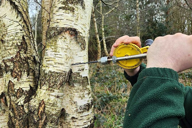 Adult Foraging Walk & Bushcraft Cookery Course for Beginners - Good To Know