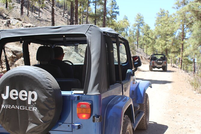 Adventure Driving Jeep Tour in Gran Canaria - Good To Know