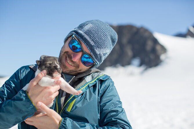 Alaska Helicopter and Glacier Dogsled Tour - SEWARD AREA - Who Will Love This Tour?