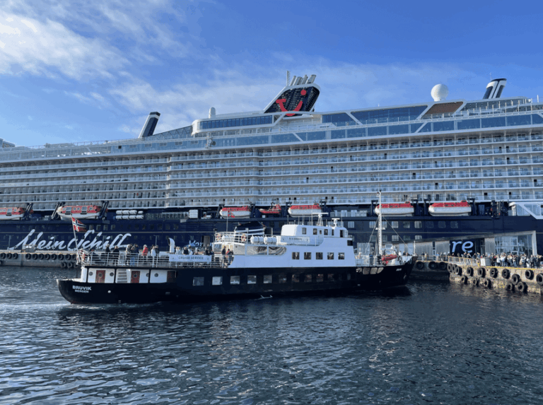 Ålesund: Archipelago Fjord Cruise
