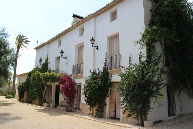Alicante Old Winery Tour and Wine Tasting Including Transfer - Good To Know
