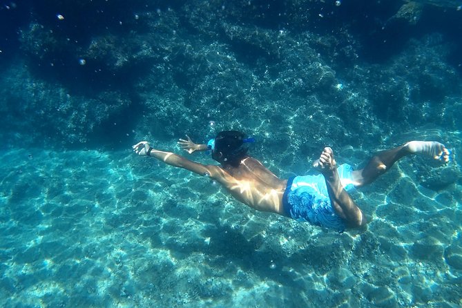 Amalfi Coast Kayak Tours from Marina del Cantone - Good To Know