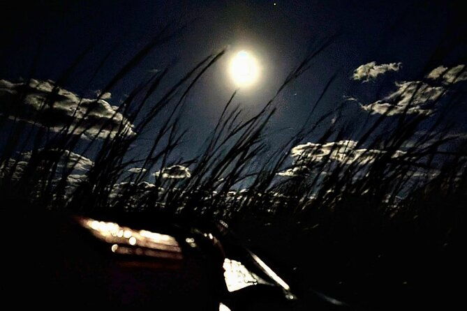 Amelia Full Moon Paddle at Talbot Islands State Park - The Value and Practicalities