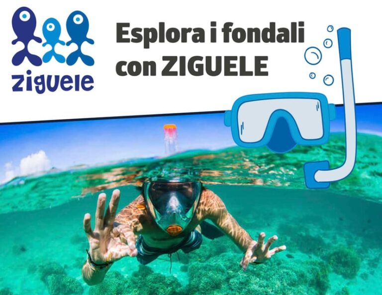 AMP Portofino: Naturalistic Snorkeling