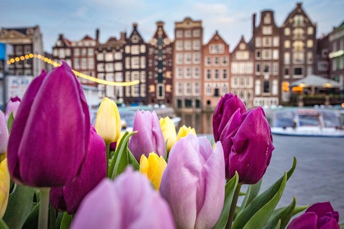 Amsterdam Highlights Walking Tour - Good To Know