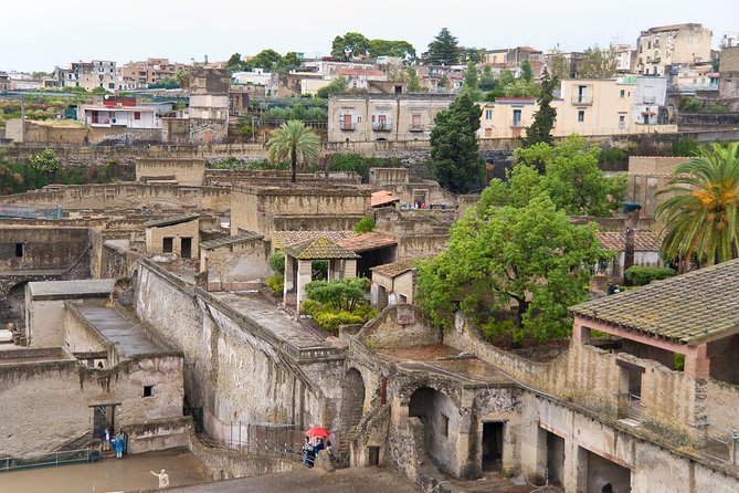 Archeological Herculaneum Private & Personalized Guided Tour - Good To Know