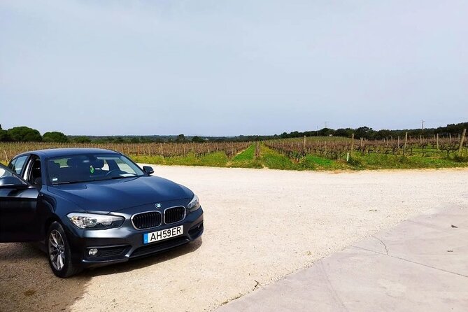 Arrábida & Setúbal Wine Tour: Food & All-Inclusive from Lisbon - Good To Know