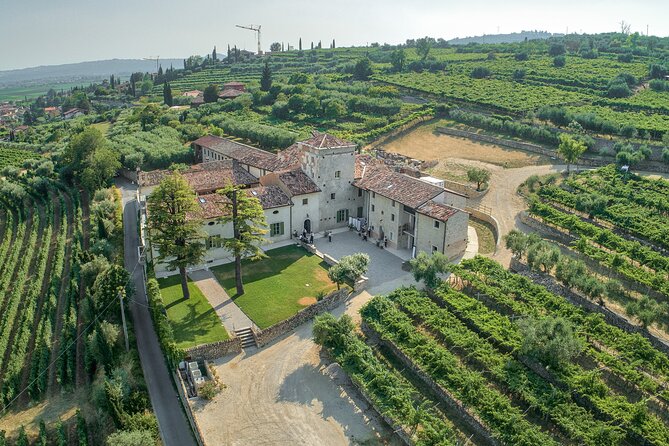 Art & Wine Experience in Valpolicella at Palazzo Montanari - Discover the Charm of the Art & Wine Experience at Palazzo Montanari