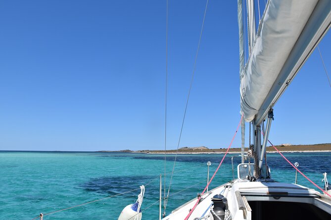 Asinara sailing experience among the coves of the island - Good To Know