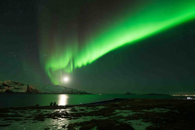 Aurora Hunt with Professional Photographer from Alta - Introduction