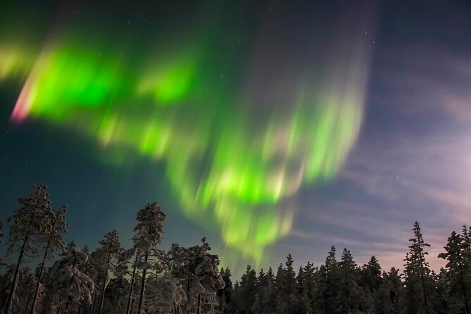 Aurora Photo Experience by Car from Saariselkä - Good To Know