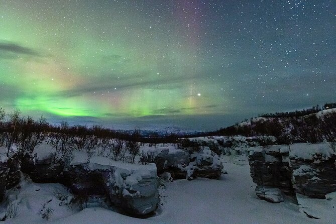 Aurora Tour with Dinner in Abisko - Good To Know