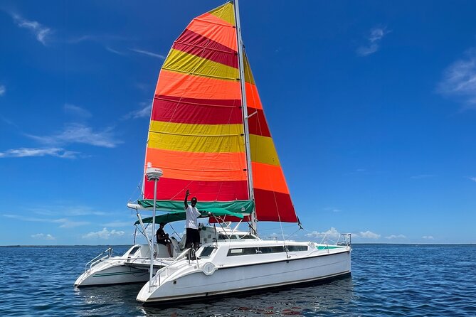 Backcountry Catamaran Bayside Sailing in Key Largo - Exploring the Backcountry Catamaran Bayside Sailing in Key Largo