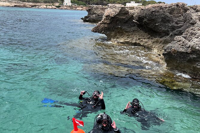 Baptism of the Sea in Favignana - Try Scuba diving - Good To Know
