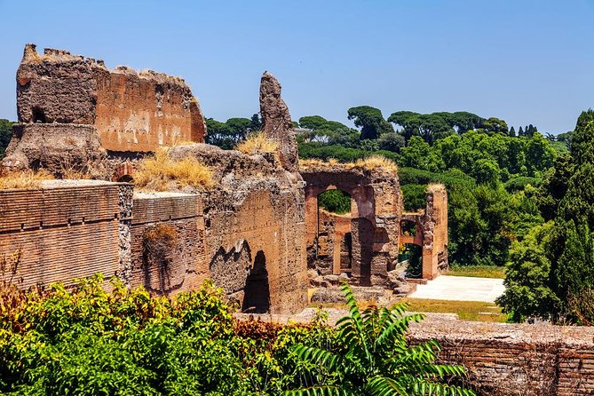 Baths of Caracalla Exclusive Private Tour | Roman Daily Life Walking Guided Tour - Good To Know