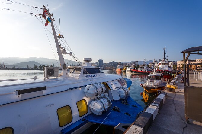 Batumi Walking Tour - Good To Know