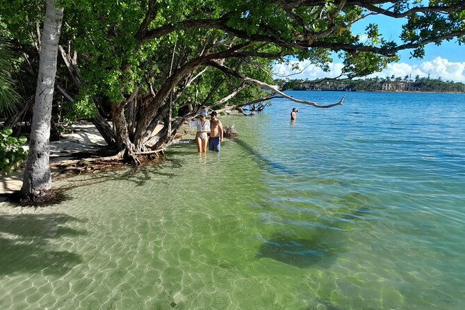 Bayside Market Place Snorkeling for Beginners - An In-Depth Look at the Experience