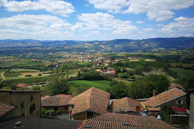 Beaujolais Wine Tour - Tastings & Gourmet Picnic Lunch - Good To Know