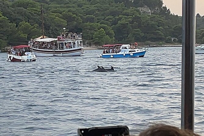 Beautiful Sunset and Dolphin Watching - Good To Know