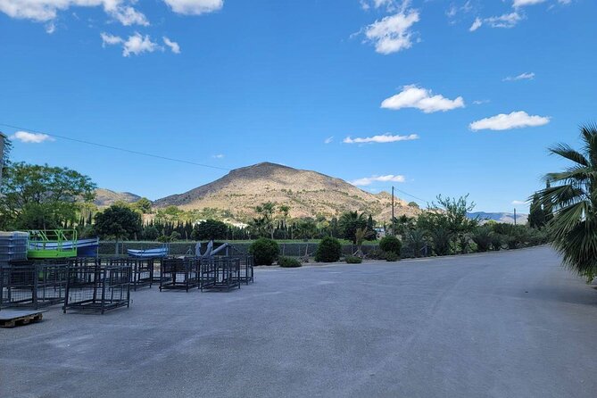Beautiful Winery in the Alicante - A Detailed Look at the Beautiful Winery Experience in Alicante