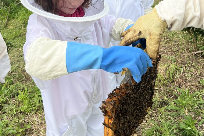 Bee Inspired: A Journey in São Miguel and a Visit to an Apiary - Discover São Miguel in a Day: A Unique Tour Combining Nature, Culture, and Beekeeping