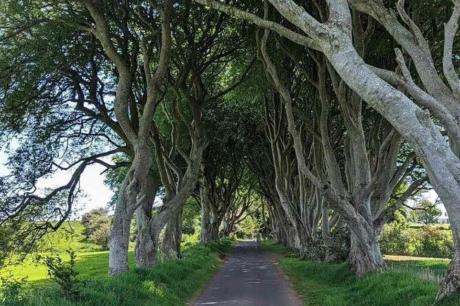 Belfast & Giants Causeway Luxury Mercedes Private Tour for 6 pax - Belfast & Giants Causeway Luxury Mercedes Private Tour for 6 pax  